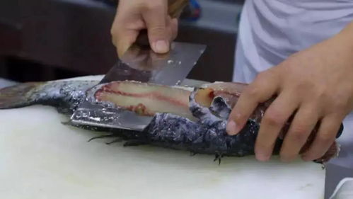人民的非遺 3 保定美食中的 顏值扛把子